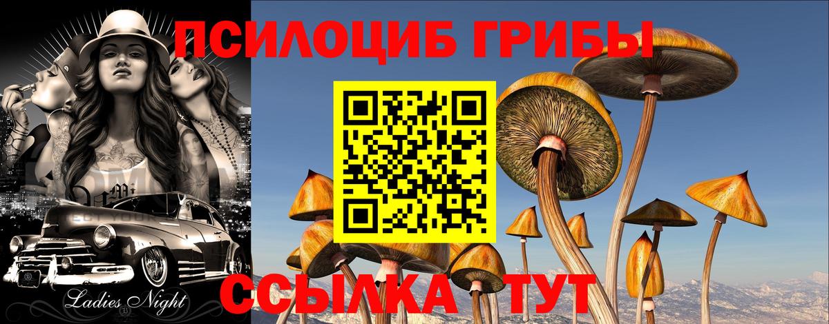 Псилоцибиновые грибы Psilocybine cubensis  Вход с VPN  Канаш 